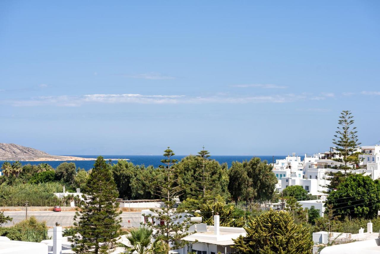 Hara'S Villa In Naousa , Paros Exteriér fotografie
