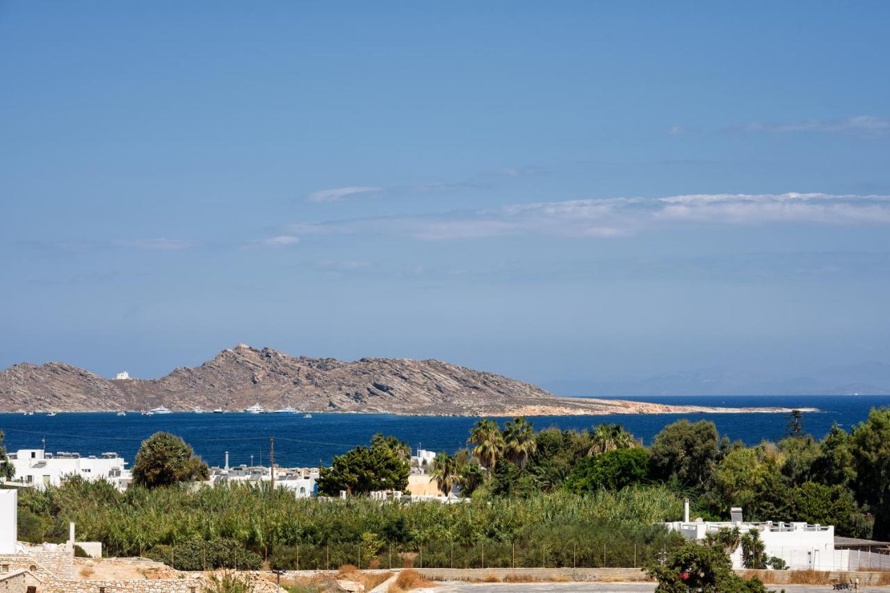 Hara'S Villa In Naousa , Paros Exteriér fotografie